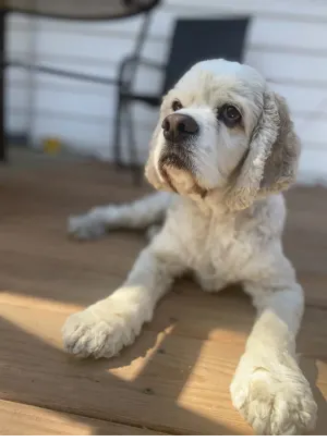 Santa Barbara Wine Country - Peaceful, hiking trails behind our home!